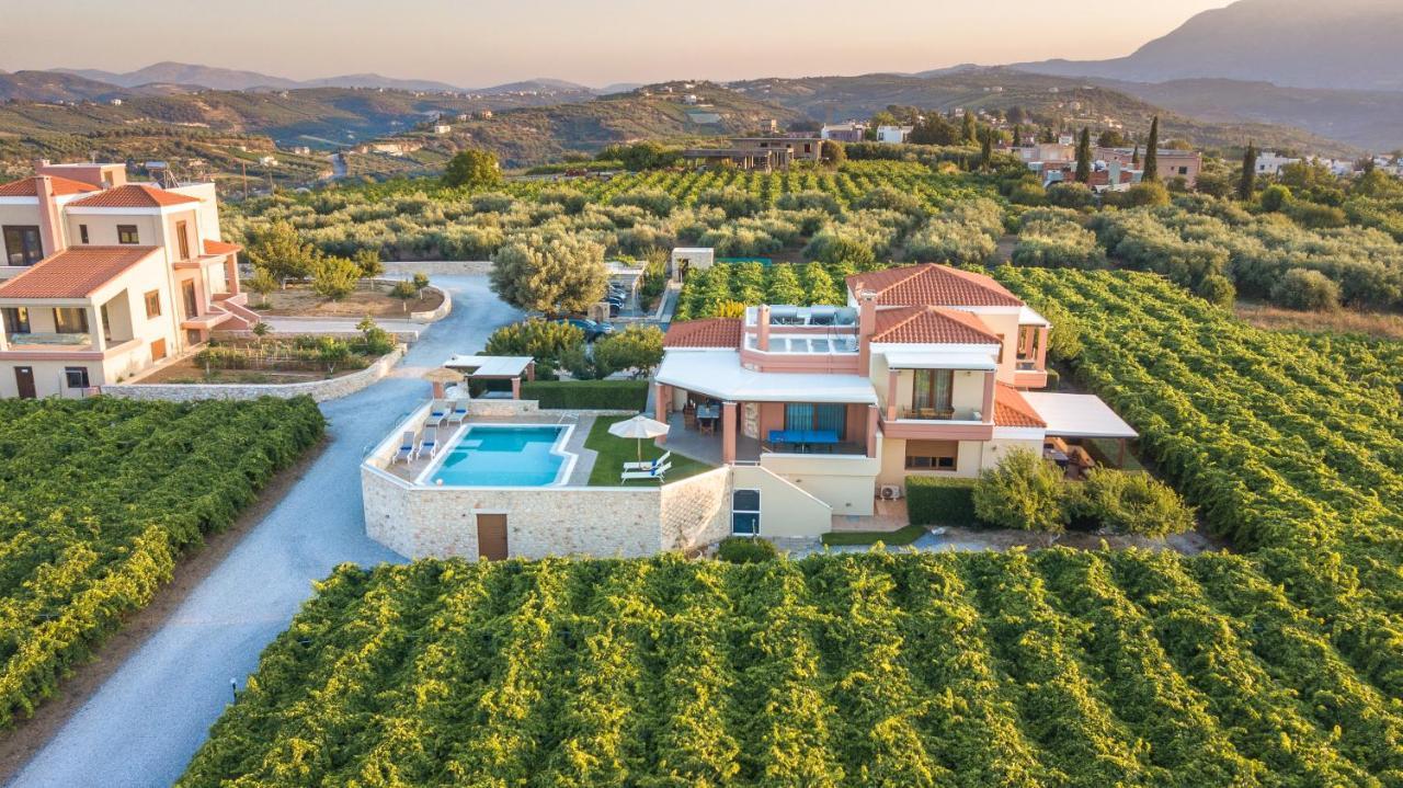 Cretan Vineyard Hill 2 Ano Kalesia